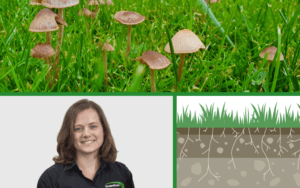 A collage showing a lawn with fungal fruiting bodies, an illustration of soil horizons and a photograph of Daisy Lacey, the course creator and presenter.